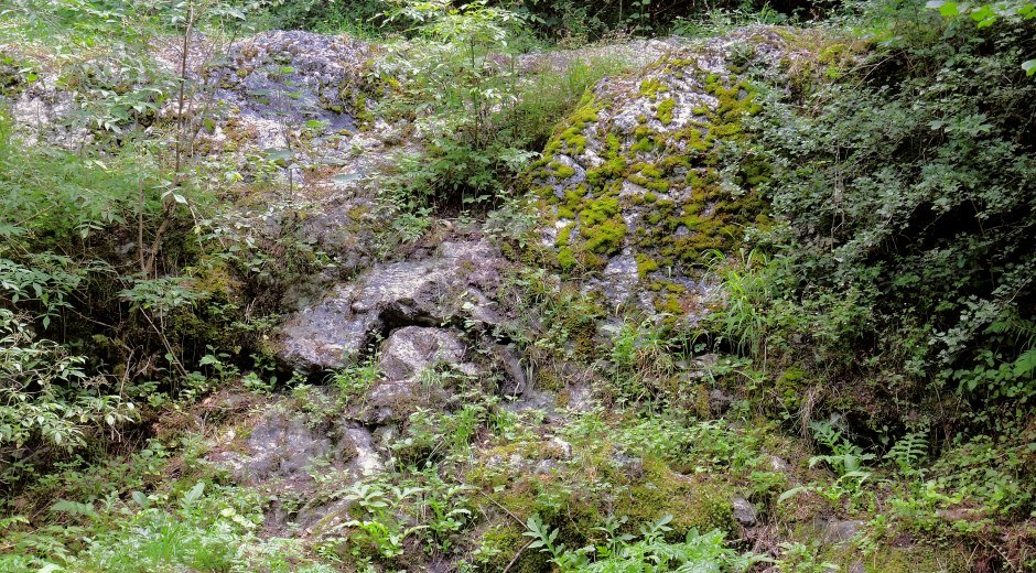 Erratischer Block &copy; Tourist-Information Weiler-Simmerberg, Sebastian Koch