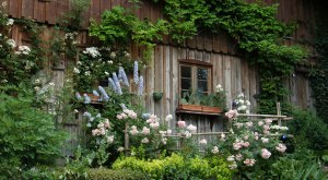 Unterk&uuml;nfte im Westallg&auml;u Fensterrahmen mit Blumen