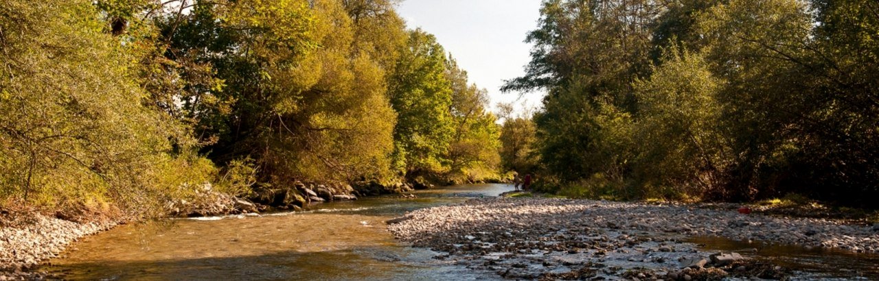 Westallgäuer Wasserwege Untere Argen