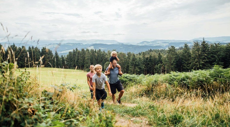 Genießen Sie auf verschiedenen Wanderrouten die reine Luft im Westallgäu, sowie die einzigartigen Alpenpanoramen