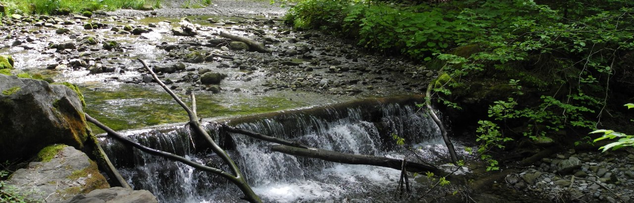 Obere Hausbachklamm bei Oberreute im Allgäu Obere Hausbachklamm bei Oberreute im Allgäu