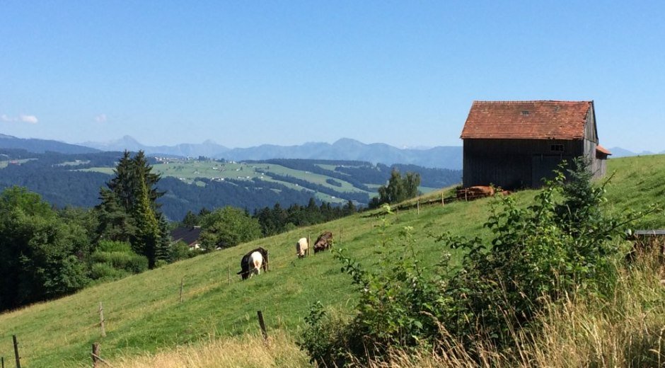 Blick © _changed => 16.04.2018 um 11:41 Uhr