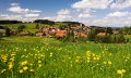 Gemeinde Oberreute Ortsansicht mit Löwenzahn