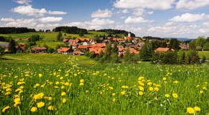 Gemeinde Oberreute Ortsansicht mit Löwenzahn Gemeinde Oberreute Ortsansicht mit Löwenzahn