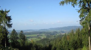 Gemeinde Maierhöfen im Westallgäu Ortsansicht