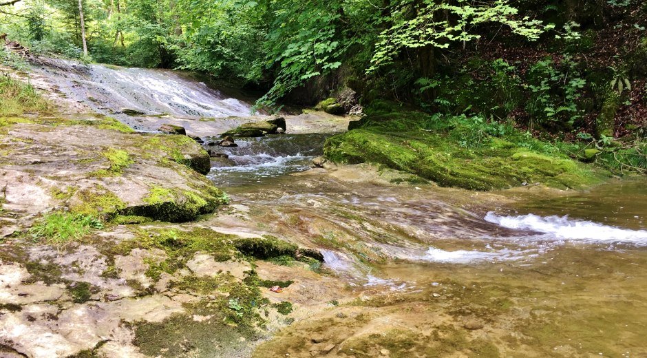 Ellhofer Tobel &copy; Tourist-Information Weiler-simmerberg, Sebastian Koch