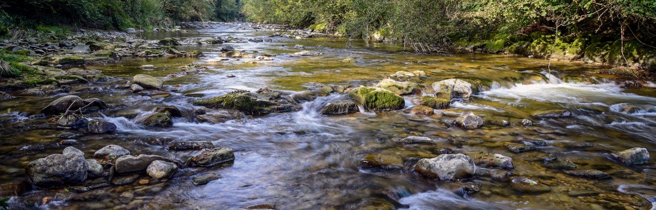 Westallgäuer Wasserwege Flusslandschaft