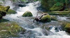 Der Tobelbach begleitet uns ein Stück des Weges. © Gemeinde Weiler-Simmerberg