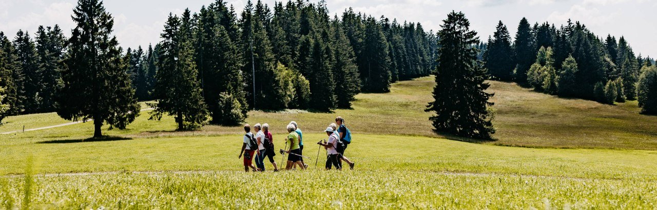 "Wald & Wiese" Premiumwanderweg bei Oberreute © Frederick Sams