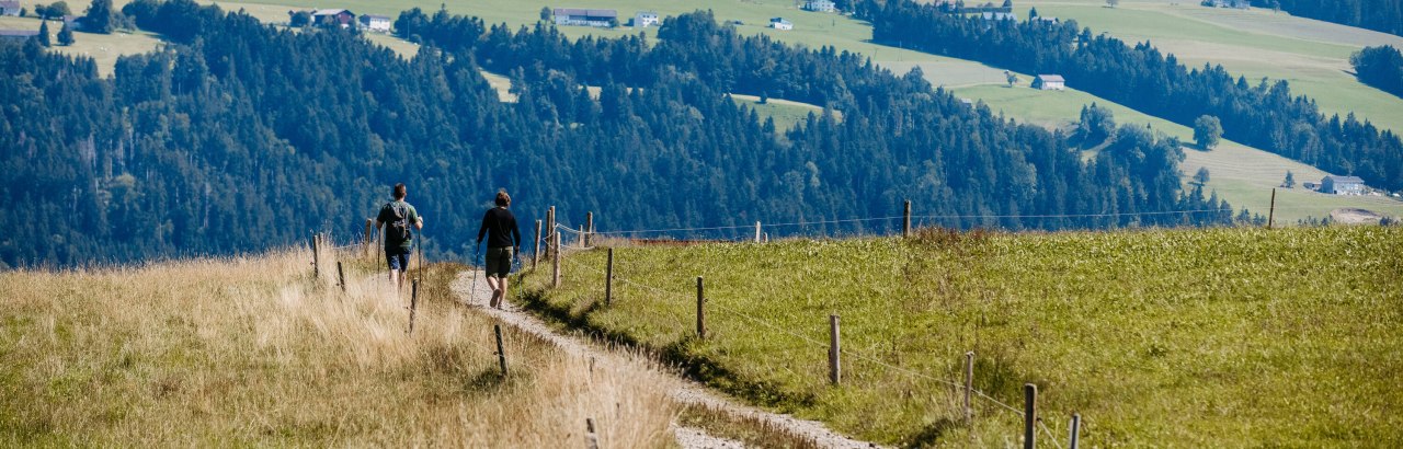 Sonne & Weide Premium-Spazierwanderweg bei Scheidegg © Frederick Sams Sonne & Weide Premium-Spazierwanderweg bei Scheidegg © Frederick Sams