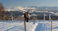 Höhenweg im Winter © Landkreis Lindau (Bodensee)