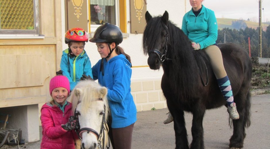 Ausritt mit den Ponys © _changed => 16.06.2017 um 22:15 Uhr