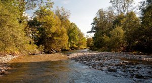 An der Unteren Argen - Westallgäuer Wasserweg 26 © Landkreis Lindau (Bodensee)