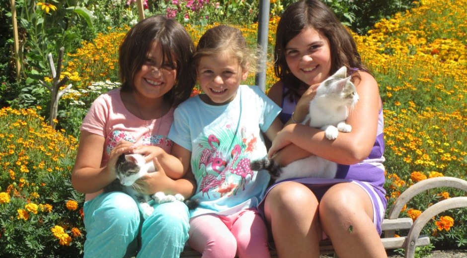 Kinder mit Streicheltieren © _changed => 03.09.2015 um 21:33 Uhr Kinder mit Streicheltieren © _changed => 03.09.2015 um 21:33 Uhr