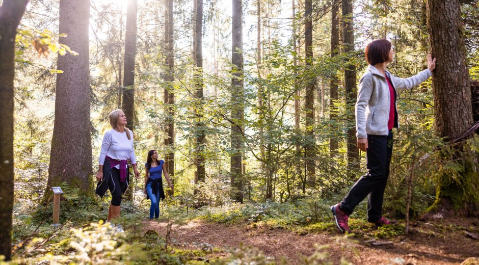 Bewusstsein stärken im Wald © Frederick Sams, Landkreis Lindau Bewusstsein stärken im Wald © Frederick Sams, Landkreis Lindau