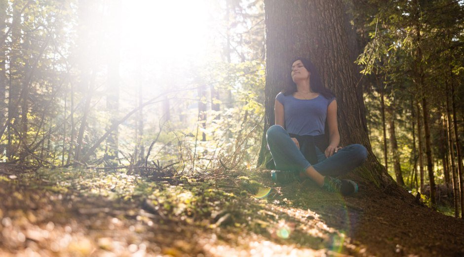 Halt finden im Wald © Frederick Sams, Landkreis Lindau