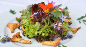 Genussregion Westallg&auml;u Regionale Spezialit&auml;ten Pfifferlinge auf Salat