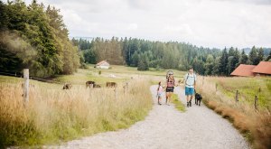 aussichtsreich Premiumwandern bei Lindenberg &copy; Frederick Sams, Landkreis Lindau/Premiumwege Westallg&auml;u
