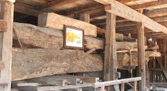 Torkel Nonnenhorn © Tourist-Information Nonnenhorn