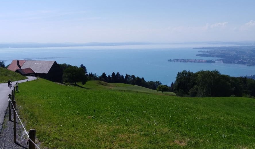 img-20180718-wa0006 &copy; _changed => 02.06.2020 um 18:54 Uhr