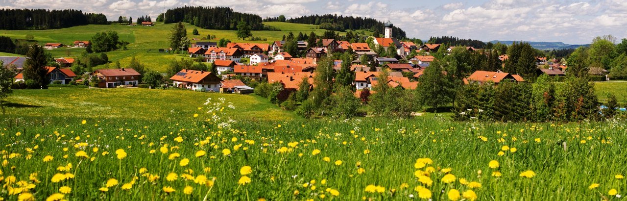 Gemeinde Oberreute Ortsansicht mit Löwenzahn