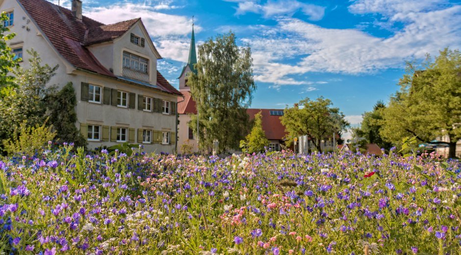 Gemeinde Opfenbach Ortsansicht Frühjahr