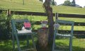 Garten © _changed => 23.04.2018 um 23:04 Uhr