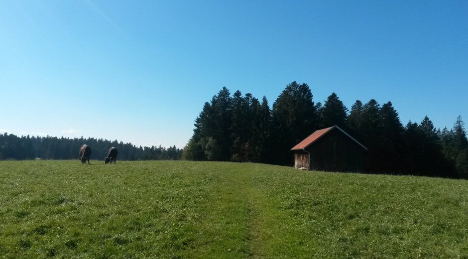 naturlehrpfad