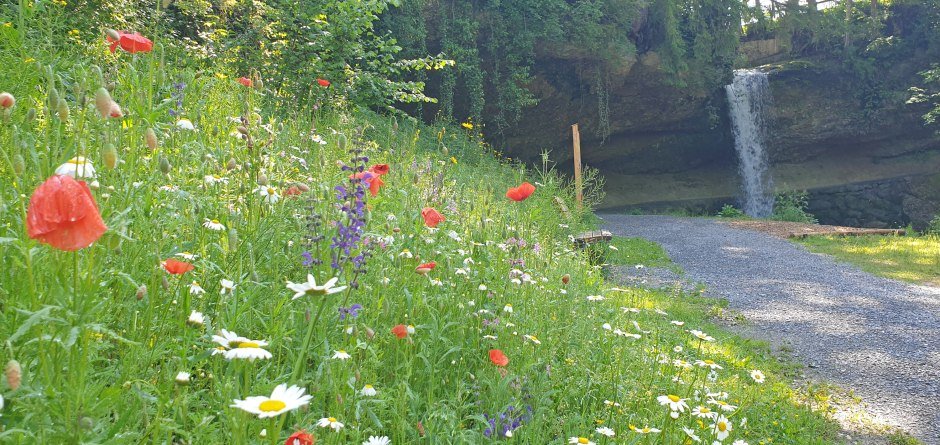 Scheidegger Wasserfaeelle © Scheidegg-Tourismus Scheidegger Wasserfaeelle © Scheidegg-Tourismus