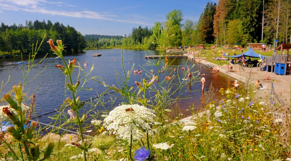 Ausblick auf den Waldsee in Lindenberg im Allgäu