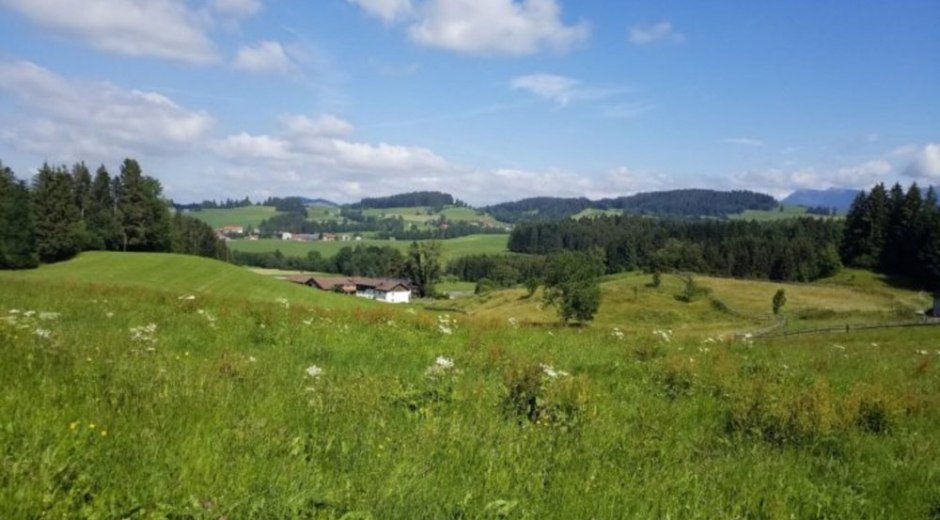 Aussicht vom Gartenhäuschen © _changed => 14.12.2021 um 08:03 Uhr