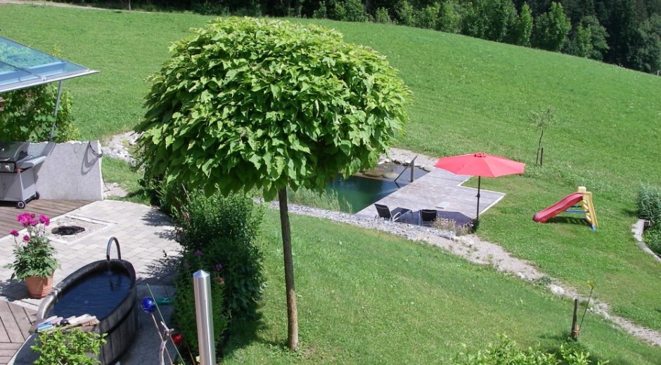 FW Böller Blick aus Wohnzimmerh © _changed => 10.02.2019 um 11:20 Uhr FW Böller Blick aus Wohnzimmerh © _changed => 10.02.2019 um 11:20 Uhr