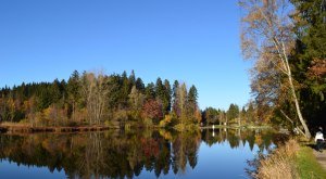 Waldseebad von der Beobachtunsgplattform © Landkreis Lindau (Bodensee)