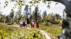 Wald & Wiese - aussichtsreich - Oberreute PWW © Landkreis Lindau (Bodensee)
