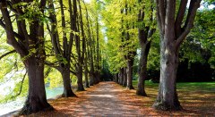 Lindenhofpark im Herbst © Lindau Tourismus und Kongress GmbH