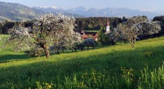 Blick ins Leiblachtal © Landkreis Lindau (Bodensee)